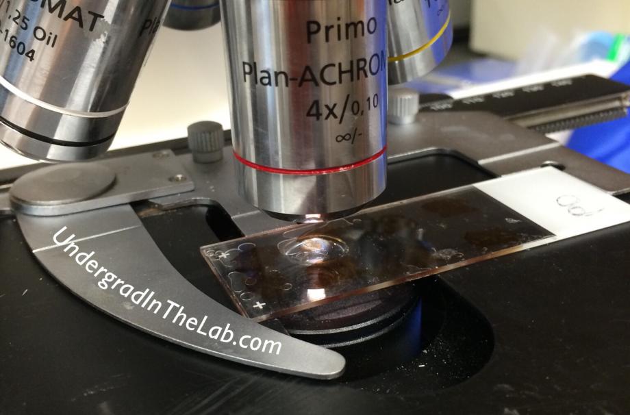 A photo of microscope lenses and a side on the microscope stage
