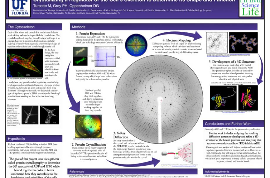 3rd place winner—2015 Creativity in the Arts and Sciences Undergraduate Symposium at UF