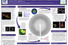 3rd place winner—2015 Creativity in the Arts and Sciences Undergraduate Symposium at UF