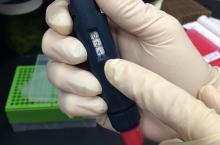 person holding a pipettor, wearing gloves, pointing to the numeric window on the pipettor