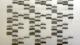 Sanger sequencing autoradiogram
